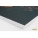 ẢNH CANVAS